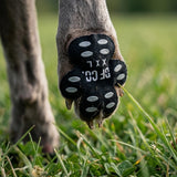 Kirlune Anti-Slip Dog Paw Grips 3