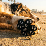 Kirlune Anti-Slip Dog Paw Grips 4