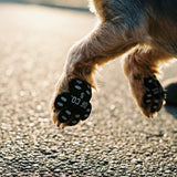 Kirlune Anti-Slip Dog Paw Grips 5